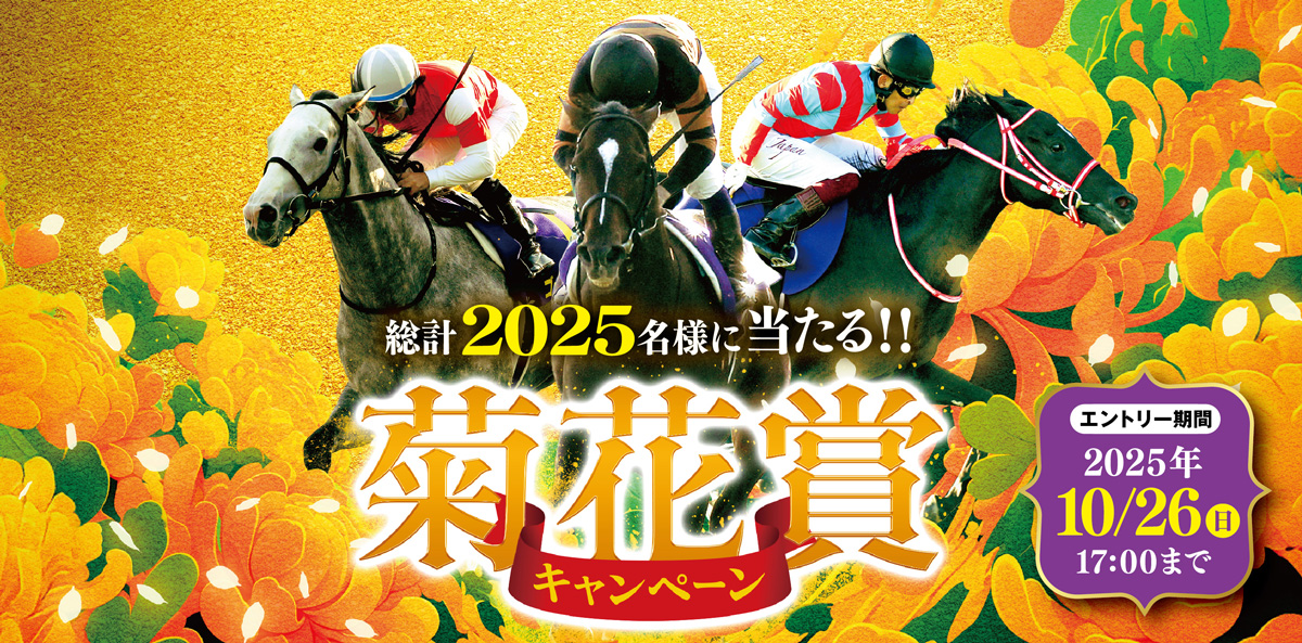 菊花賞キャンペーン