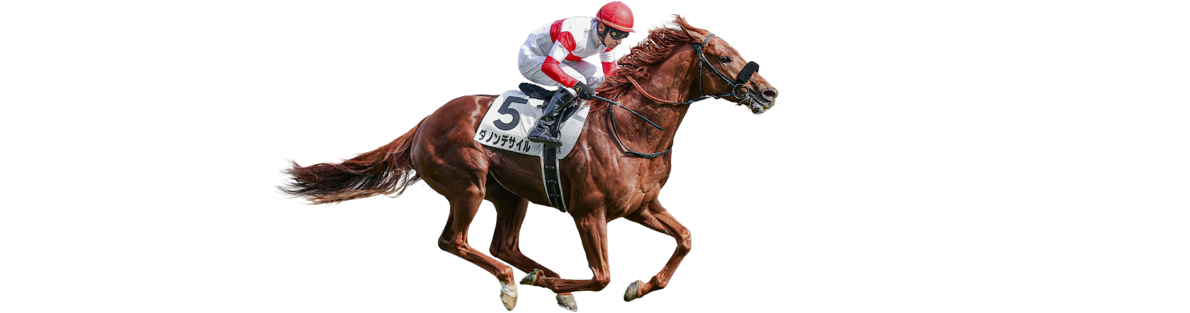 ���{�_�[�r�[�@6��1���i���j15:40����