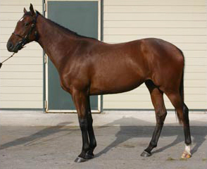 �����@�[�J�t�F�̂O�S