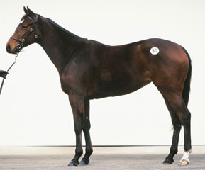 �����@�[�J�t�F�̂O�S