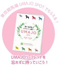 東京競馬場 UMAJO SPOTでもらえる！ UMAJOリーフレットを忘れずに持っていこう！