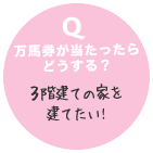 Q　万馬券が当たったらどうする？ 3階建の家を建てたい！