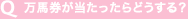 Q　万馬券が当たったらどうする？