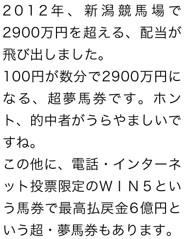 2012年、新潟競馬場で2900万円を超える、配当が飛び出しました。100円が数分で2900万円になる、超夢馬券です。ホント、的中者がうらやましいですね。この他に、電話・インターネット投票限定のＷＩＮ５という馬券で最高払戻金６億円という超・夢馬券もあります。